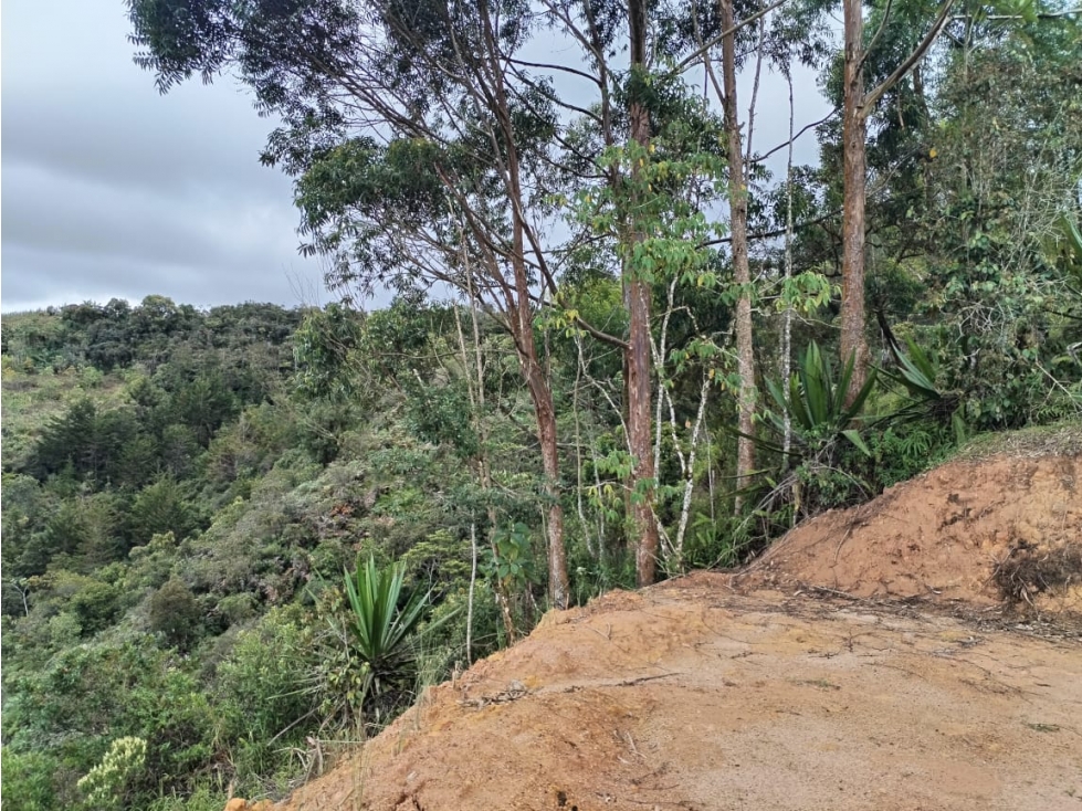 Lote en Venta, Sector El Peñolcito, San Vicente