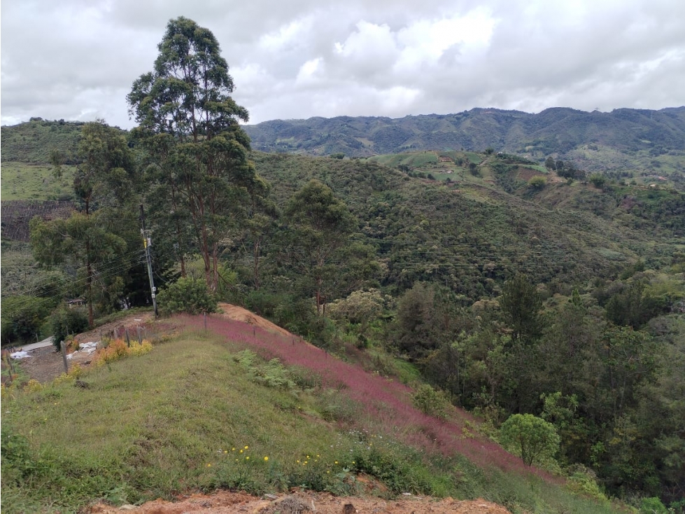 Lote en Venta Sector El peñolcito, San Vicente