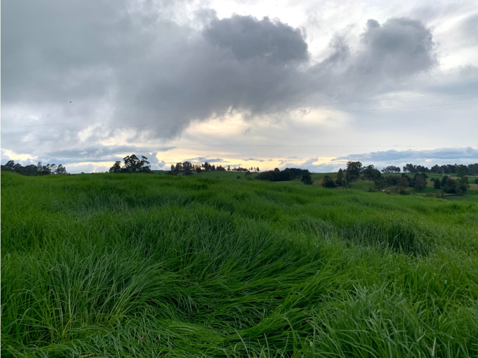 Lote en Venta Vereda El Espinal, San Pedro