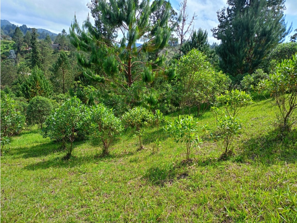 Lote en Venta Sector Tequendamita, El Retiro