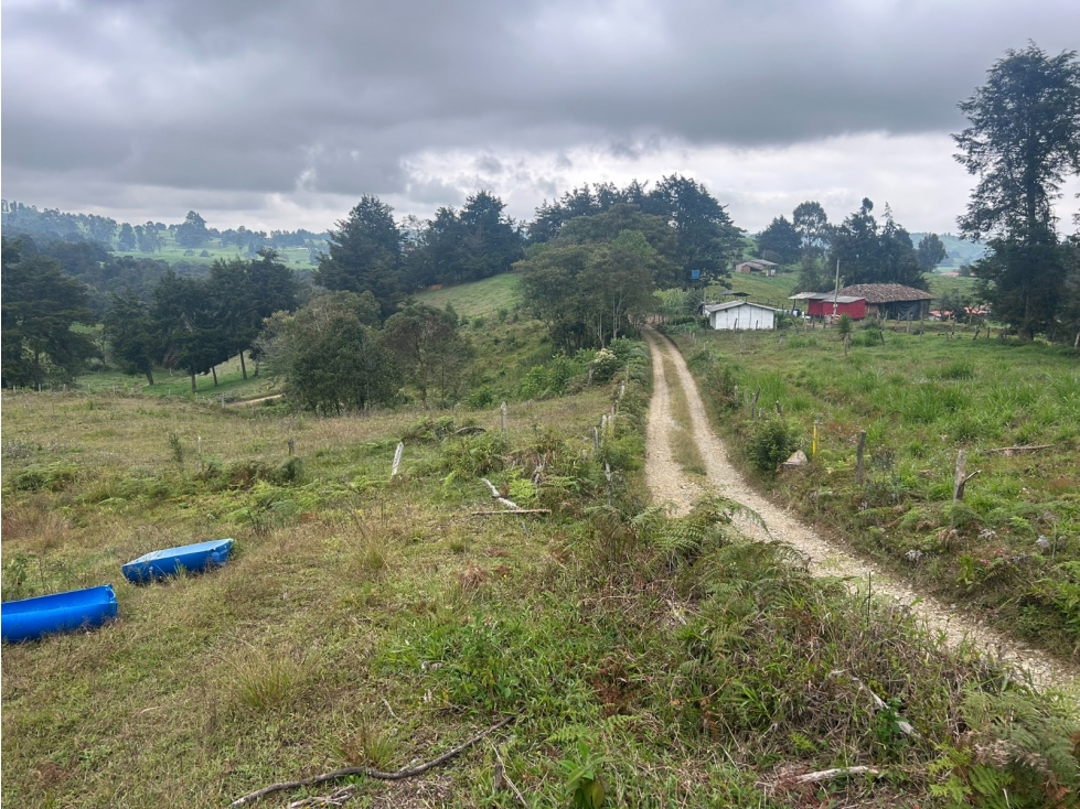 Lote en Venta Vereda el Espinal, San Pedro de Los Milagros