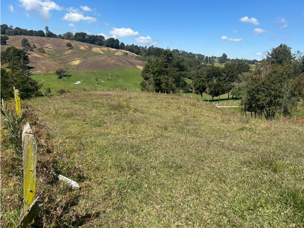 Lote en Venta, Vereda El Espinal, San Pedro de Los Milagros