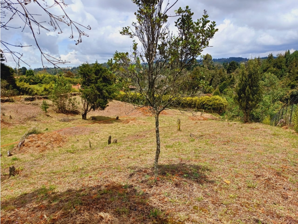Lote en Venta Vereda Piedra Blancas, Guarne