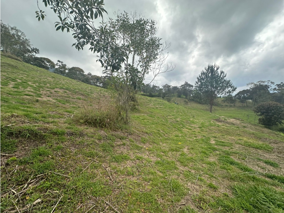 Lote en Venta Vereda San Nicolás, La Ceja
