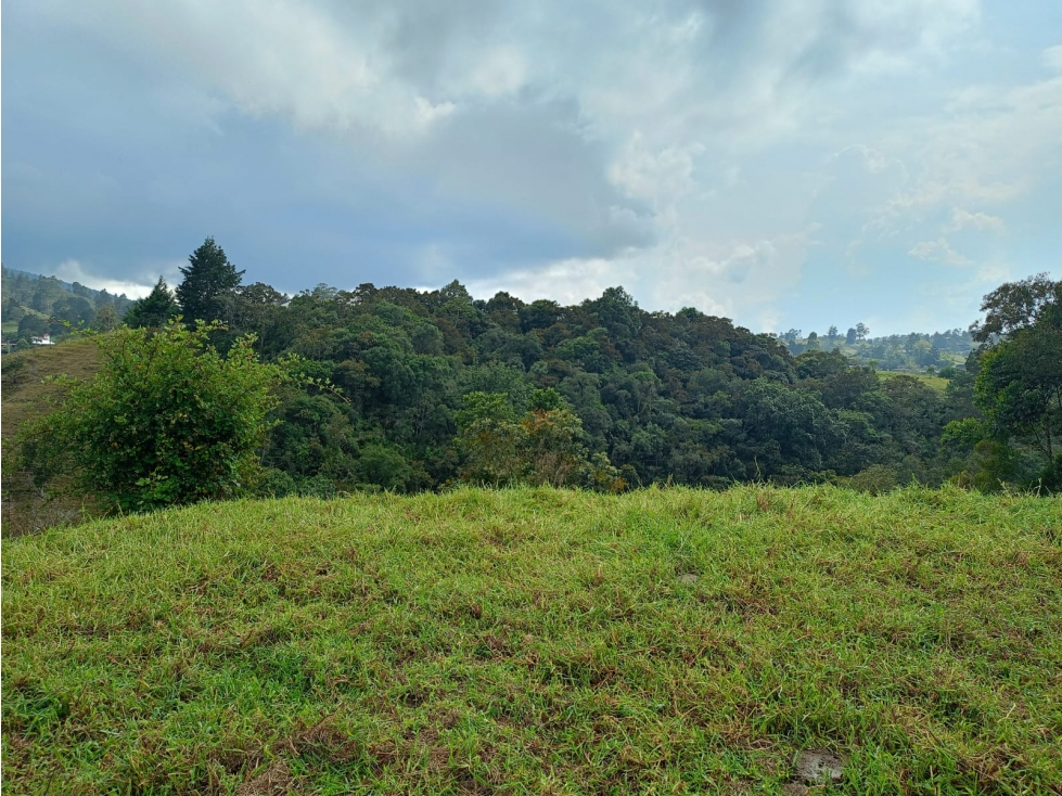 Lote en Venta Independiente, Sector Pantanillo, El Retiro
