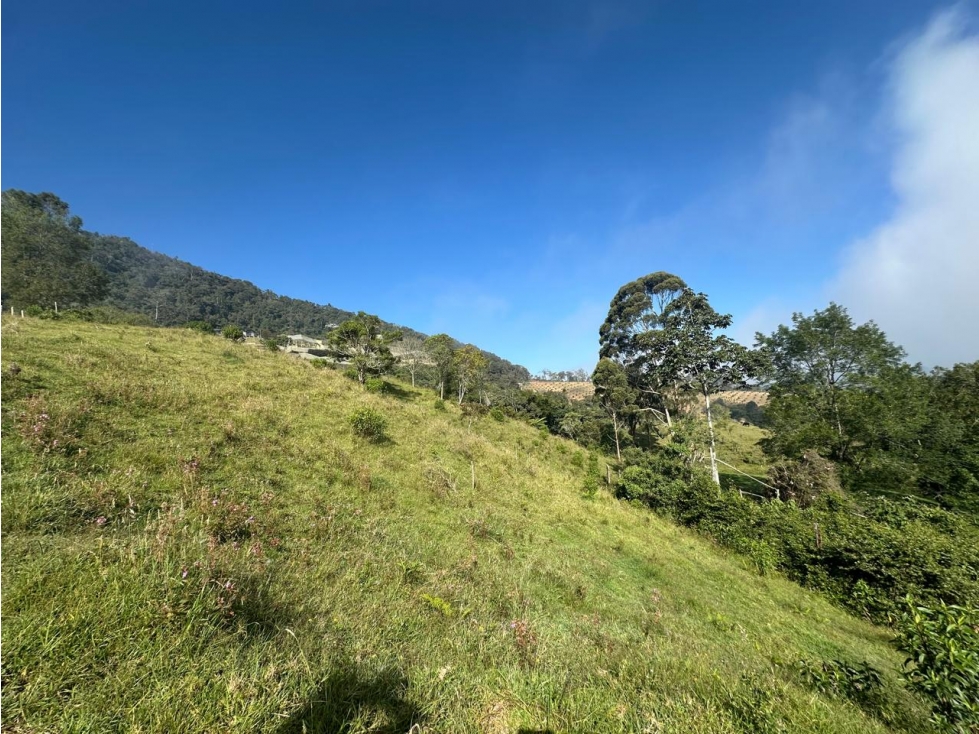 Lote en Venta Sector El Tambo, La Ceja