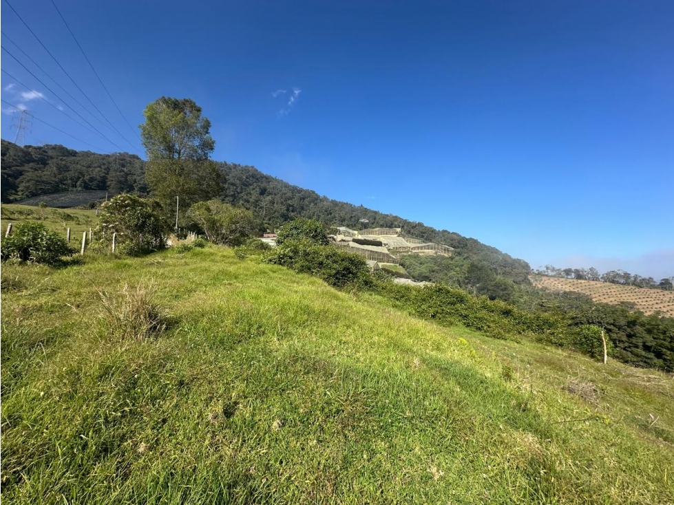 Lote en Venta Sector El Tambo, La Ceja