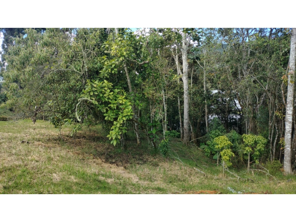 Lote en Venta Sector El Yarumo, El Retiro