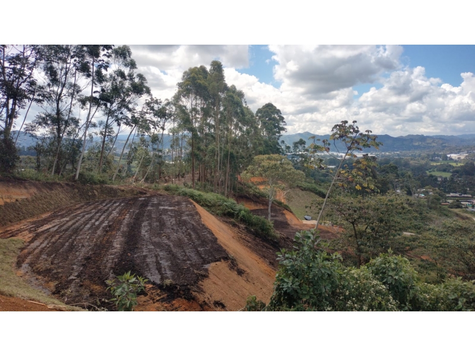 Lote en Venta Sector el Yarumo La Ceja