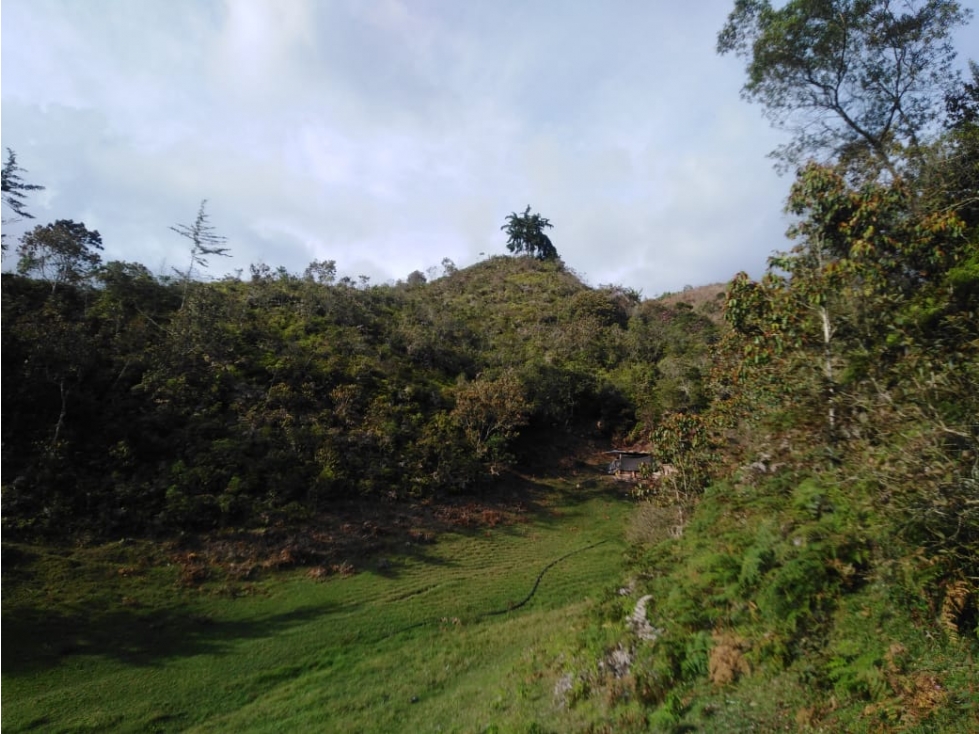 Casa Lote en Venta, Vereda Yolombal, Guarne