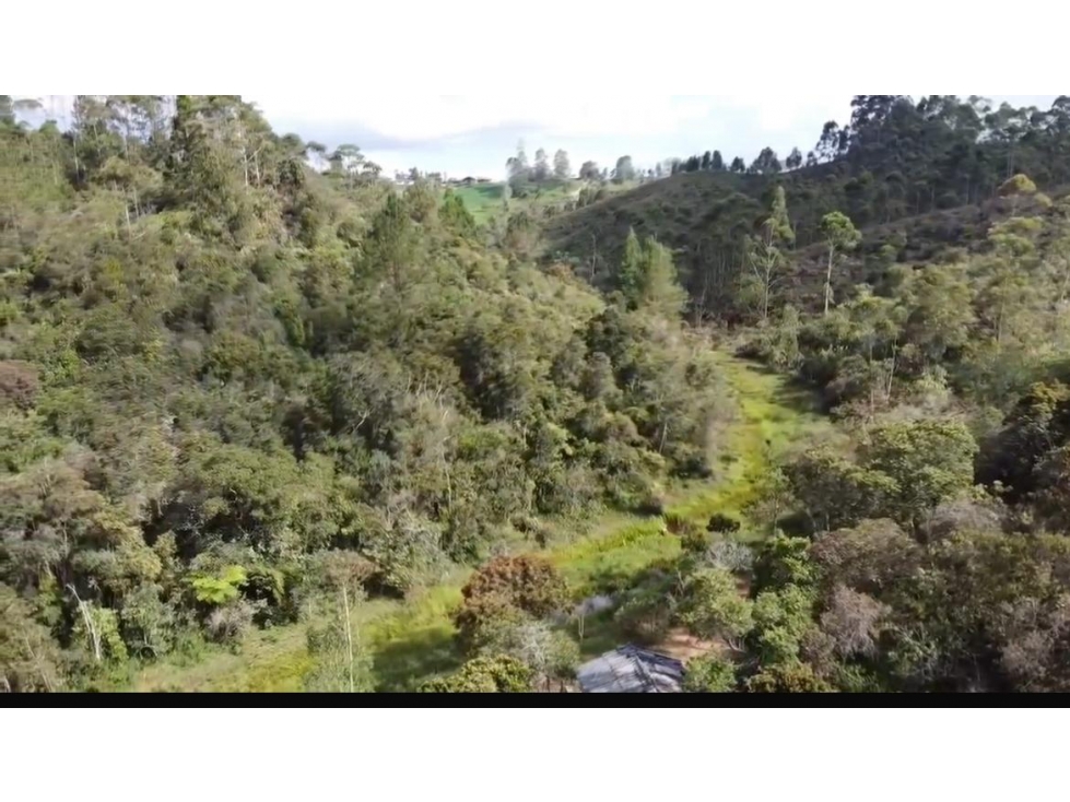 Lote en Venta en Parcelacion, Vereda La Mosquita, Guarne