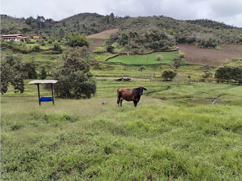Lote en Venta, sector La Magdalena, san Vicente