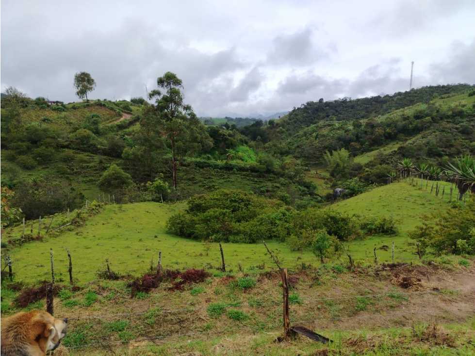 Hermoso lote en venta en Peñolcito, vía al embalse de El Peñol