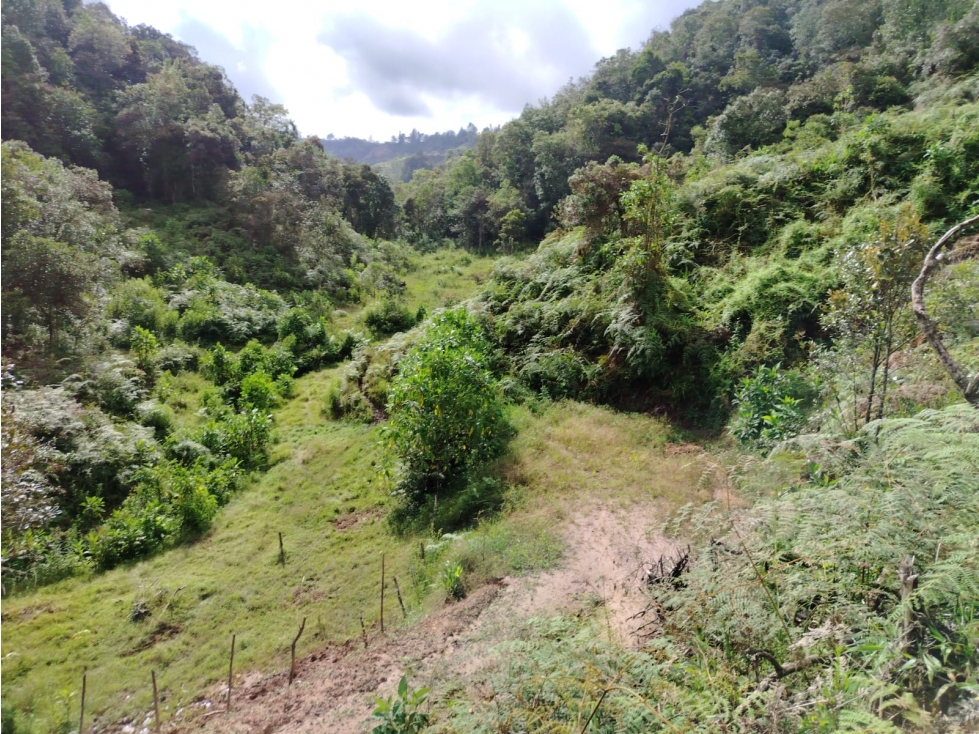 Lote en venta, sector Guaciru, San Vicente