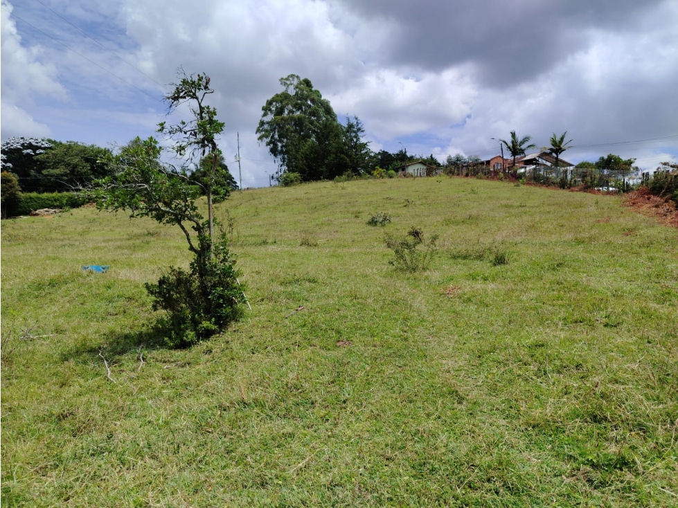 Lote en venta, sector Rancherías, Rionegro