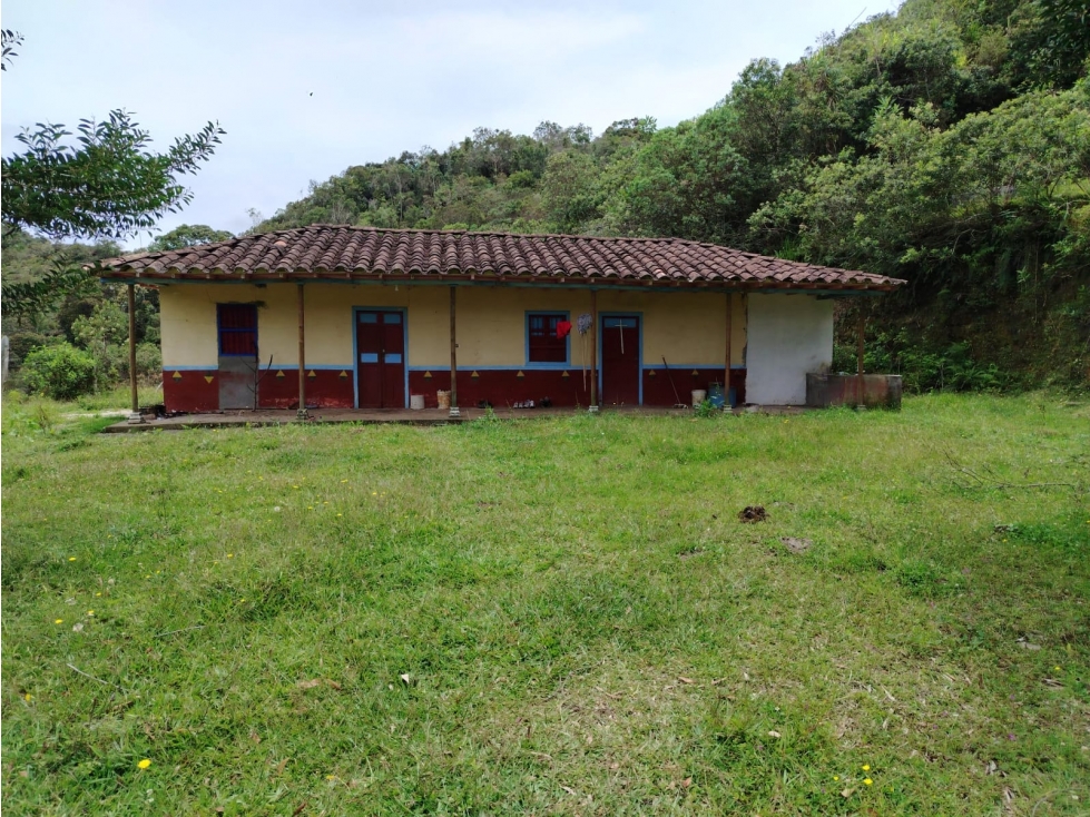 Casa lote en venta con bosque nativo, La Magdalena, San Vicente