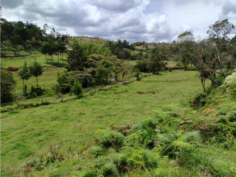 Lote en venta, sector La Magdalena, San Vicente