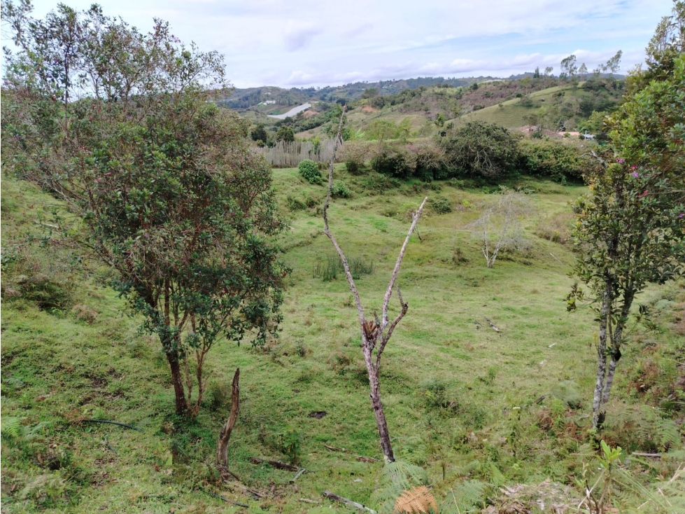 Lote con hermosa vista y agua natural en La Magdalena, San Vicente