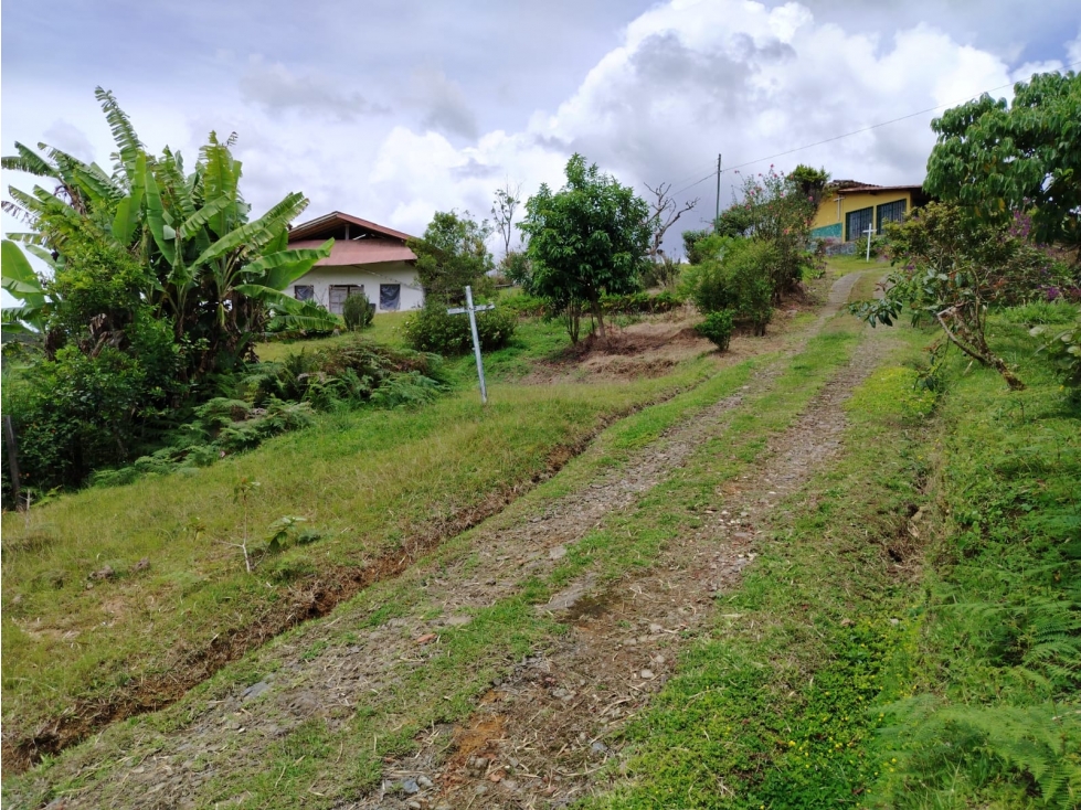 Casa lote en venta, sector La Magdalena, San Vicente — foto 3