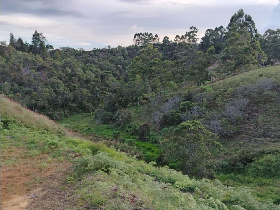 Lote en venta Sector El Rancherito, Guarne