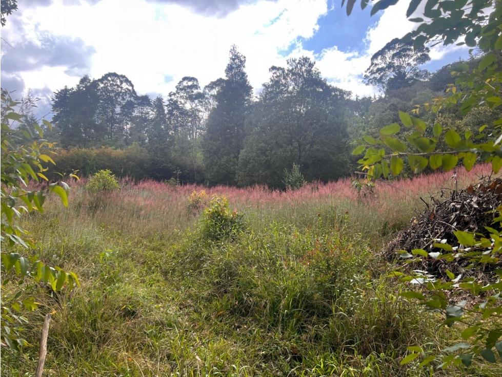 Lote con vista al Valle de San Nicolás, cerca al aeropuerto