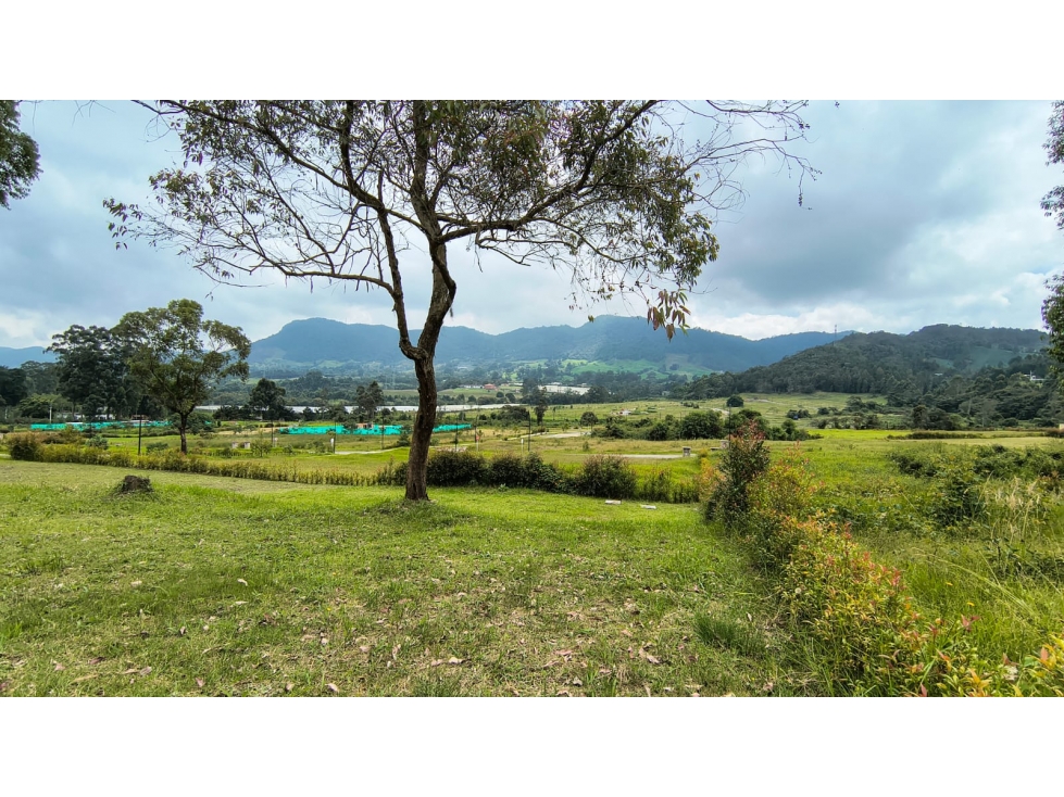 Lote en venta, sector El Tambo, La Ceja