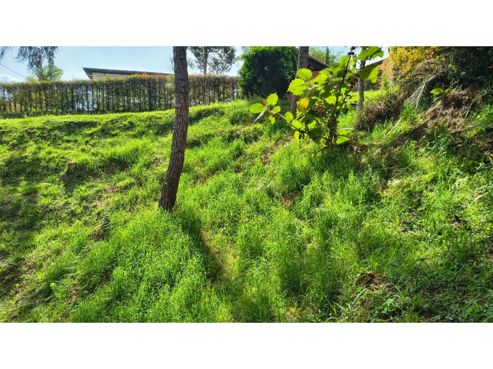 Lote en venta, vereda San Antonio sector Campo Alegre, San Vicente — foto 2