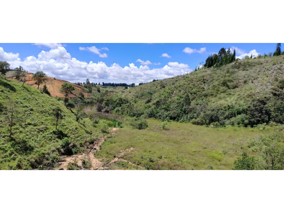 Lote campestre en preventa | 1.600 m² | Conectividad y entorno natural