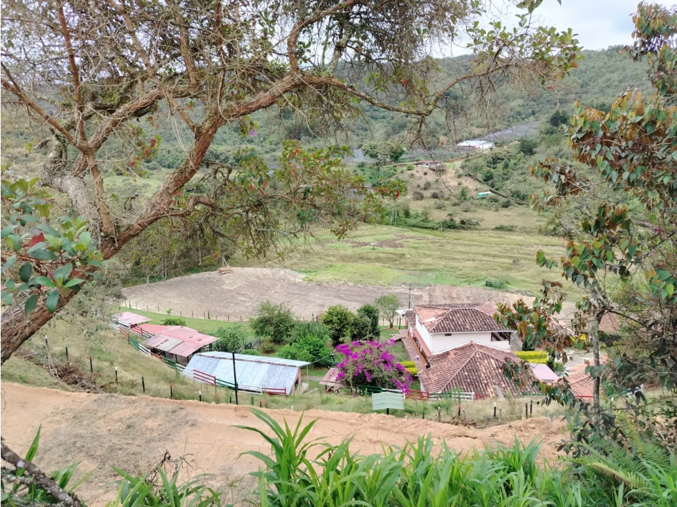 Lote en venta sector La Magdalena, San Vicente