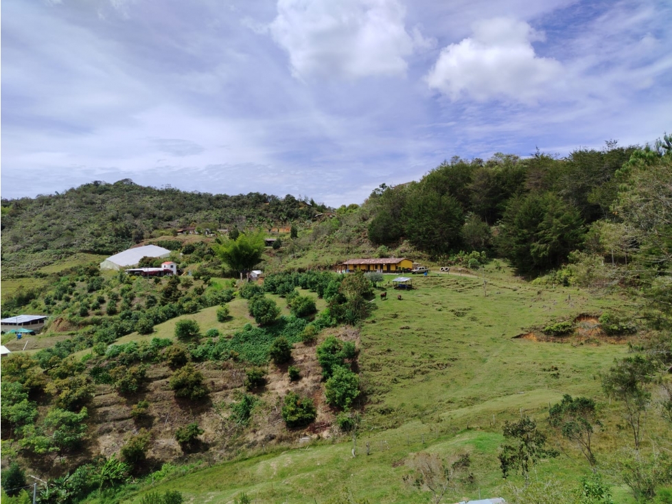 Finca en venta, sector Santa Ana, San Vicente