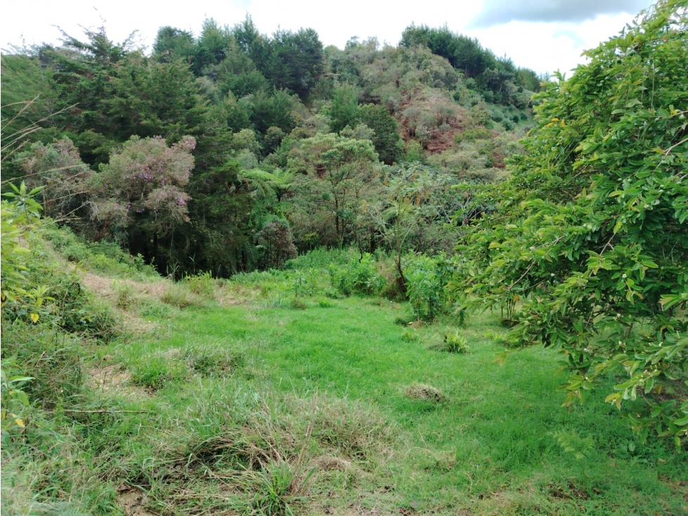 finca en venta sector el Porvenir, San Vicente