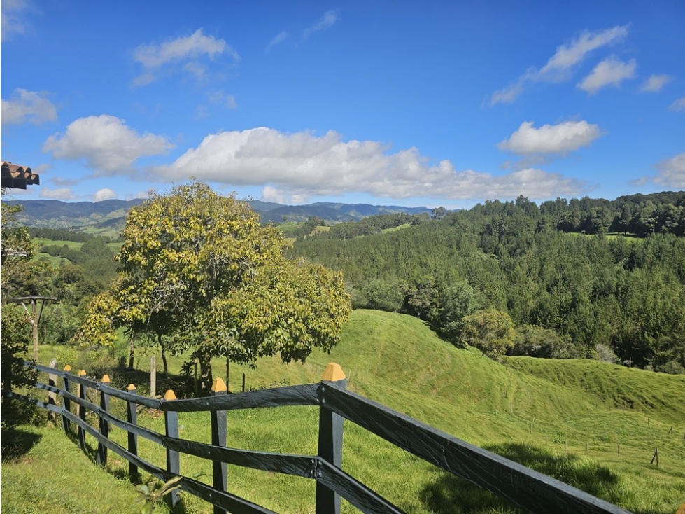 Casa campestre en venta, Vereda Zafra, San Pedro de los Milagros