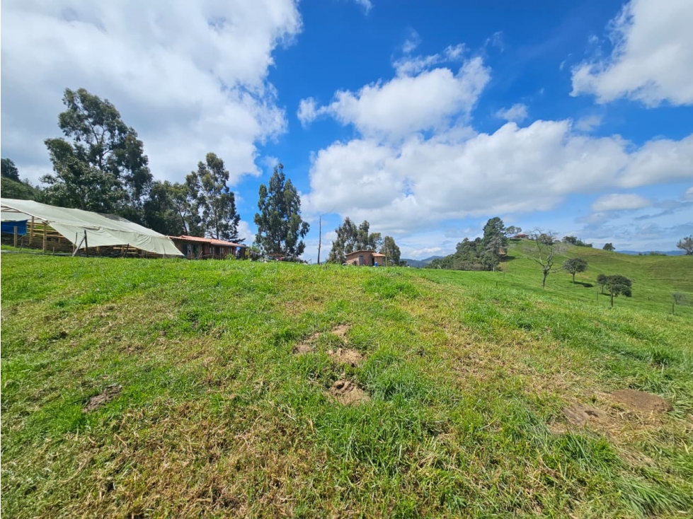 Lote en venta vereda Zafra, San Pedro de los Milagros