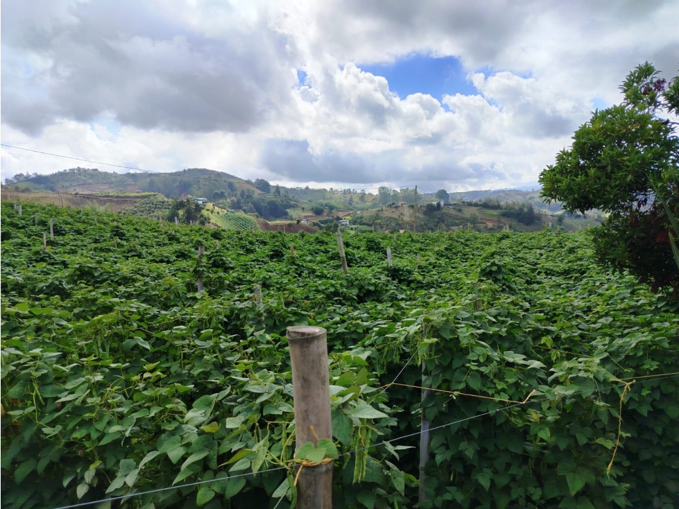 Lote en venta sector La Floresta, San Vicente