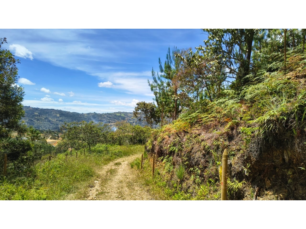Lote en venta sector La Pastorcita, Guarne