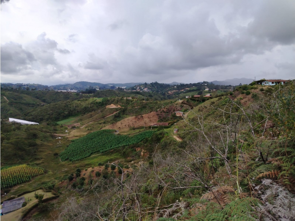 Lote en venta Sector,Perpetuo Socorro, San Vicente