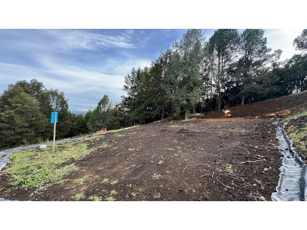 Lote campestre en venta, Alto de Palmas, Envigado - 1