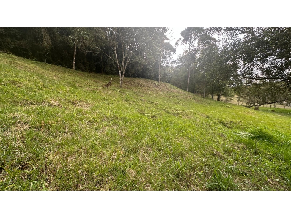 Lote campestre en venta, vía El Retiro La Ceja sector Pantanillo - 1
