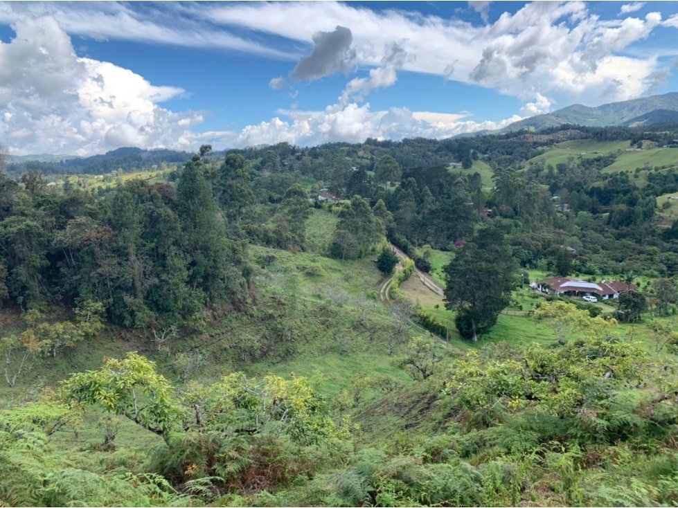 Lote en Venta sector Pantanillo en El Retiro — foto 2