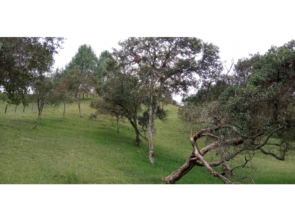 Lote en Venta en el Sector la Esperanza en Las Palmas — foto 3