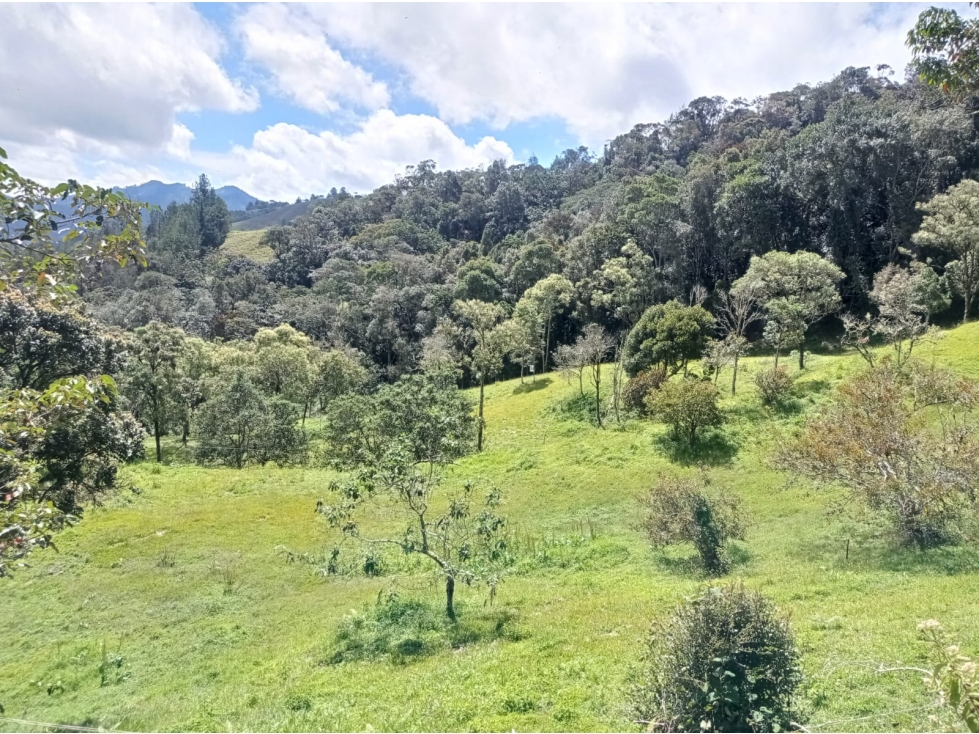 Lote en Venta Sector la Argentina El Retiro en Parcelación — foto 2