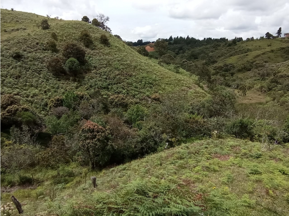 Lote en Venta en Guarne en Parcelación Nueva — foto 6