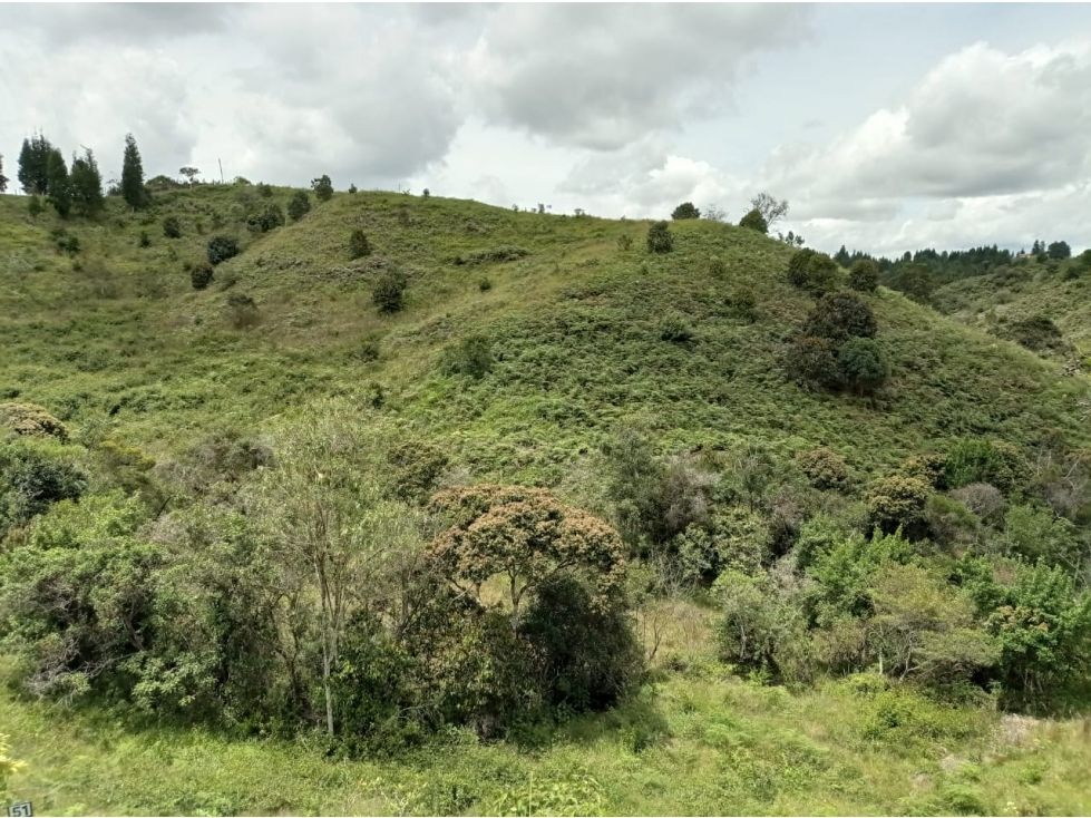 Lote en Venta Ubicado en Nuevo Proyecto en Parcelación Guarne — foto 2