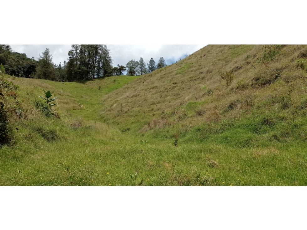 Lote en Venta Sector Pantanillo Parcelación Nueva, el Retiro — foto 2