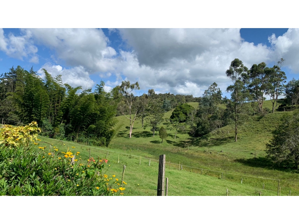 Lote en Venta en Parcelación Nueva Vía San Antonio La Ceja — foto 2