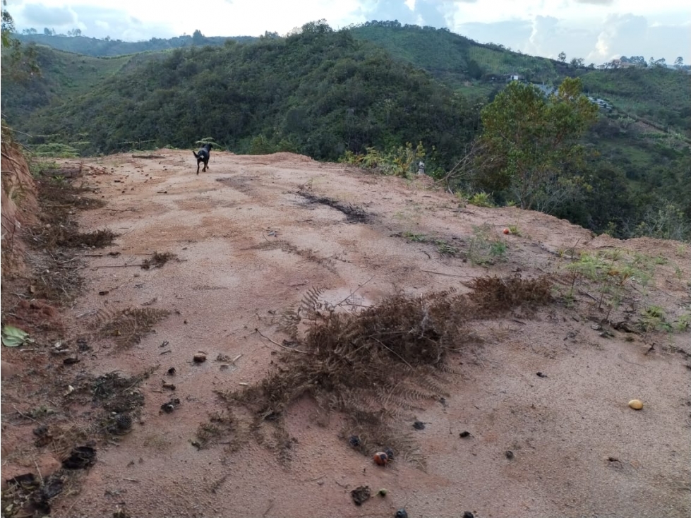 Lote en Venta con Bosque Nativo en el Porvenir San Vicente — foto 6
