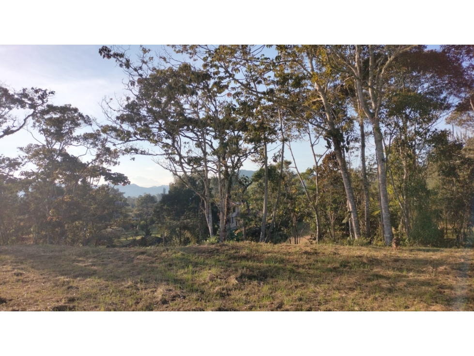 Lote con Topografía Plana Listo para Entrega en la Ceja — foto 2