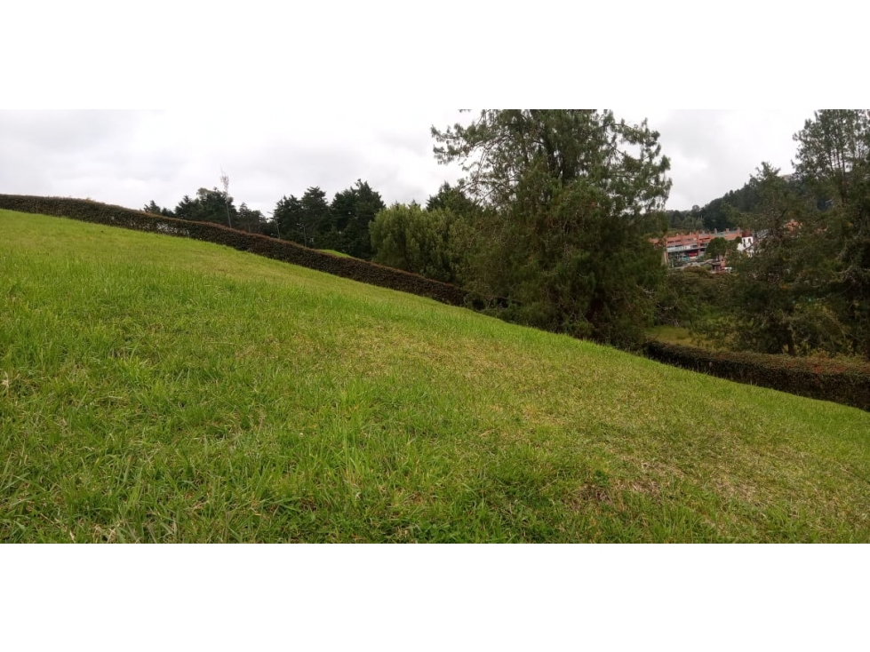 Lote en Venta en Envigado Sector Alto de las Palmas — foto 4