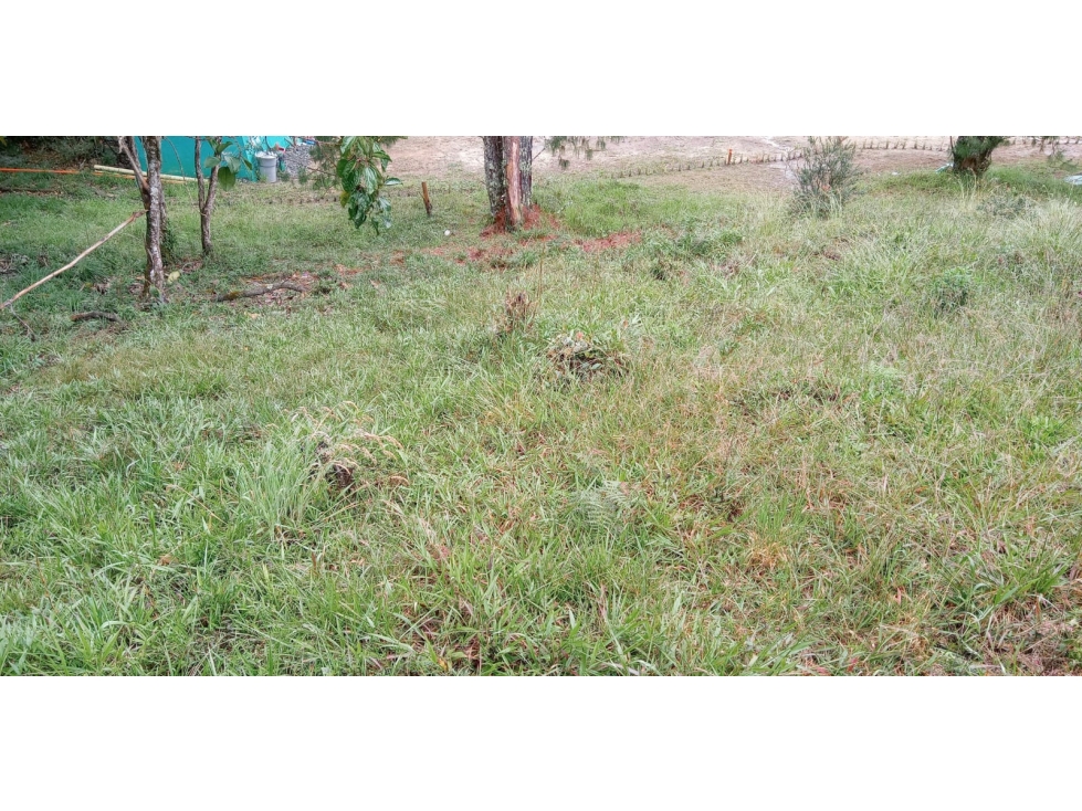 Lote en Venta Alto de las Palmas Sector el Silencio Envigado — foto 6