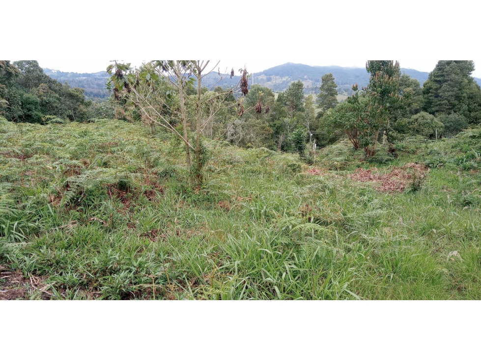 Lote en Venta Sector el Silencio en el Alto de las Palmas Envigado — foto 2